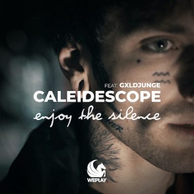 Enjoy The Silence Von Caleidescope Feat. GXLDJUNGE