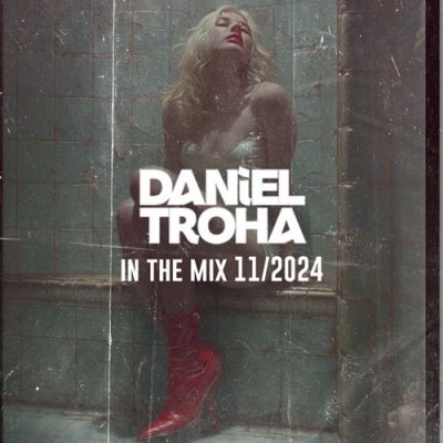 Daniel Troha In The Mix 11.2024
